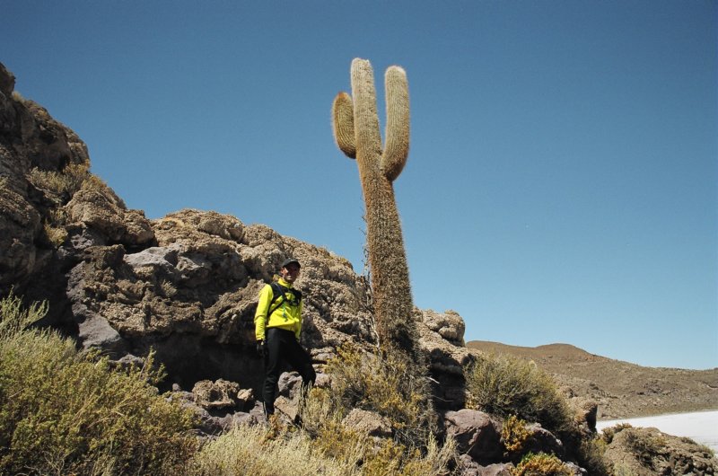 isladepescadocactus.jpg